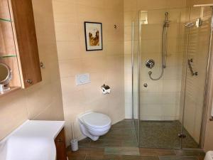 萨斯尼茨Ferienwohnung Seerose的一间带卫生间和玻璃淋浴间的浴室