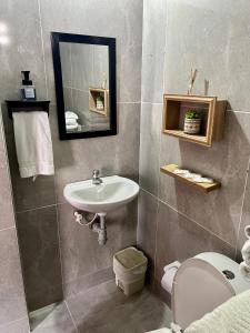 蒙波斯Apartamento Familiar Puerta Azul的一间带水槽、卫生间和镜子的浴室