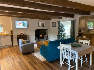 塔尔加斯The Cottage at Sychnant Farm的客厅配有蓝色的沙发和圣诞树