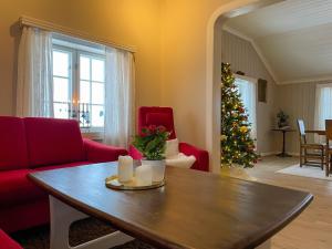 勒罗斯Finnegården Røros的客厅配有圣诞树和桌子