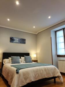埃利松多Arotzetxea的一间卧室设有一张大床和一个窗户。