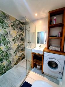 昂蒂布Freshly tastefully renovated apartments in heart of old Antibes的一间带洗衣机和水槽的浴室