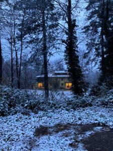 科斯泰内茨Вила Ренесанс Костенец的雪覆盖森林中间的房子