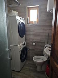 兹拉蒂博尔Eko kuća Zlatiborsko srce的一间带洗衣机和卫生间的浴室