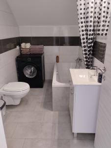 波斯托伊纳Apartma Azurre的浴室配有卫生间、盥洗盆和洗衣机。