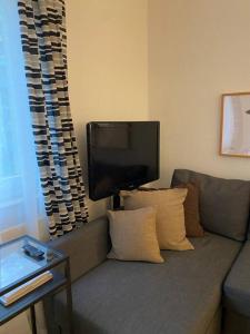 汉诺威Möblierte Wohnung Hannover List的带沙发和平面电视的客厅