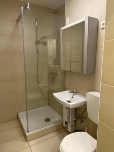 汉诺威Möblierte Wohnung Hannover List的带淋浴、盥洗盆和卫生间的浴室