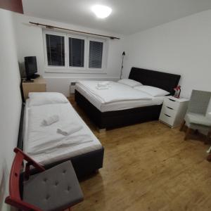 伏尔塔瓦河畔利普诺Apartmán v Lipně nad Vltavou 25的一间设有两张床和椅子的房间