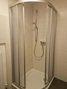 格绍Apartment Pilz的浴室里设有玻璃门淋浴