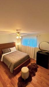 Eastern PassageEntire house 3 min Drive to beach的一间卧室设有一张大床和一个窗户。