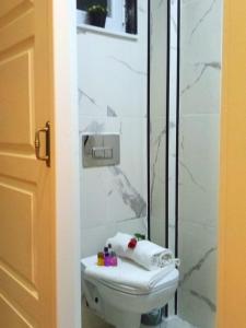 伊斯坦布尔sultanahmet musıc house的一间带卫生间和玻璃淋浴间的浴室