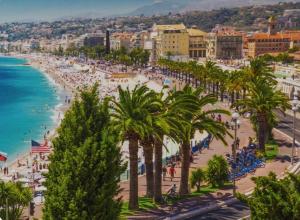 尼斯Chambre privée confortable à louer chez l habitant proche plage et centre ville de Nice的享有棕榈树海滩和大海的景色