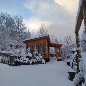 拉德施塔特Tiny House am Steinergut的雪中小屋,有雪覆盖的树木