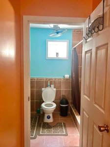 罗阿坦Island style home, low key rental的一间带蓝色天花板的卫生间的浴室