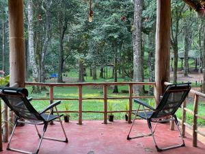 麦帕迪900 Woods Wayanad Eco Resort - 300 Acre Forest Property Near Glass Bridge的两把椅子坐在门廊上,望着公园
