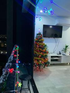 圣萨尔瓦多Paradise Apartment的客厅里一棵带灯的圣诞树