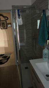 热那亚Zena的带淋浴、盥洗盆和卫生间的浴室