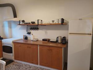 伊罗达MG elounda apt的厨房配有白色冰箱和木制台面