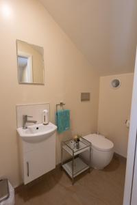 惠灵顿Khandallah Harbour View BnB的一间带水槽、卫生间和镜子的浴室