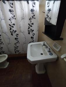 埃塞萨Posada La Justy EZEIZA的浴室配有水槽、卫生间和浴帘
