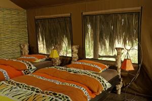 卡拉图Crater Forest Tented Lodge的带2扇窗户的客房内的2张床