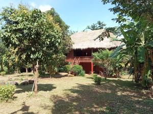 Ban KiangtatTad Lo - FANDEE ISLAND - Secret Private House - Bolaven Loop Pakse的茅草屋顶和庭院的房子