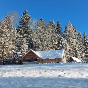哈拉霍夫Horská chata KRKONOŠKA HARRACHOV & Privat wellness relax GROTTA SPA的一片树木覆盖的雪地房子