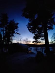 罗瓦涅米Villa Haaveranta - Cosy cabin by the lake的夜晚欣赏树木和天空的景色