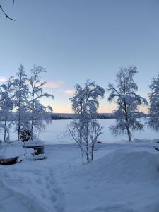 罗瓦涅米Villa Haaveranta - Cosy cabin by the lake的一片有树木和湖泊的雪地