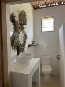 帕杰Villa Upendo Paje的一间带水槽和卫生间的浴室