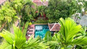 暹粒印度支那吴哥住宅酒店的花园游泳池的顶部景色