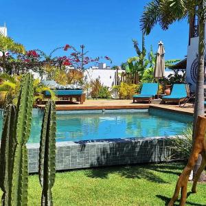 佩德拉斯港Arataba Hotel Boutique e Bistrô - 150 mts do mar的一个带仙人掌的游泳池,位于带椅子的庭院内