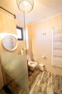 德罗贝塔-塞维林堡Apartament ALESSIO的一间带卫生间和吊灯的浴室
