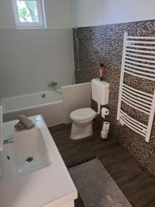 佐洛埃格塞格Villa Anna, ingyenes Wifivel és parkolással.的浴室配有卫生间、盥洗盆和浴缸。