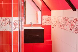 波兰尼卡-兹德鲁伊Gospodarstwo Agroturystyczne Kowalowe Wzgórze的红色的浴室设有水槽和淋浴
