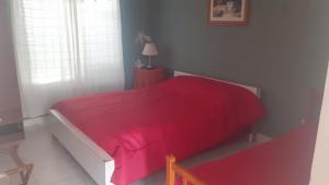 特雷斯阿罗约斯Tres Arroyos的一间卧室配有一张带红色毯子的大床