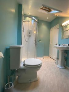 AshwellThree Tuns Ashwell的浴室配有卫生间、淋浴和盥洗盆。
