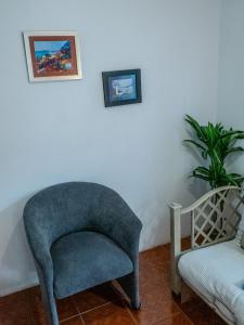 萨利纳斯Las Casitas en Salinas的蓝色椅子和室内植物