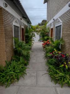 萨利纳斯Las Casitas en Salinas的通往植物建筑的走道