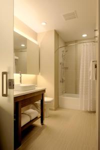 华盛顿Hyatt Place at The Hollywood Casino Pittsburgh South的一间带水槽、卫生间和淋浴的浴室