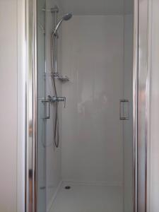 沃迪切Julija Mobile Lux的带淋浴的浴室和玻璃门