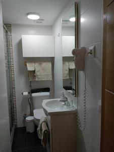马德里El Pozo-Villalobos Suite的一间带水槽和卫生间的小浴室
