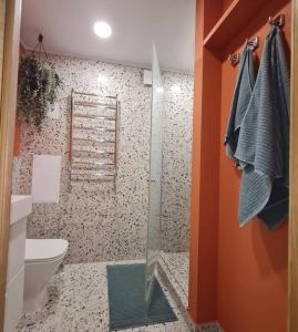 马多纳Fukša Saules dzīvoklis的一间带玻璃淋浴和卫生间的浴室
