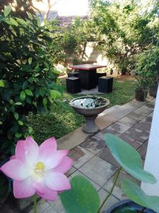 迪克韦勒The ED Corner - Hiriketiya的花园里的粉红色花和喷泉