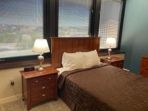 匹兹堡River View的一间卧室配有一张带2个床头柜和2盏灯的床。