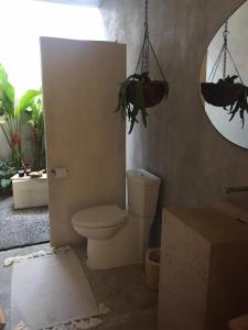 锡瓦塔塔内霍Casa_Paki的浴室设有卫生间、镜子和植物