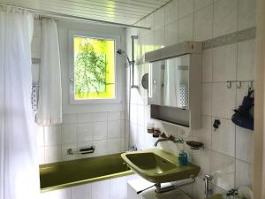 埃梅滕Elfe-Apartments FerienMietWohnungen的一间带绿色水槽和窗户的浴室