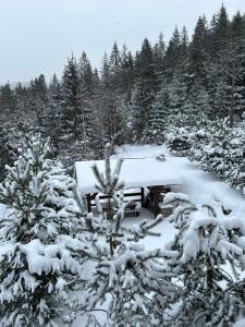 米库利钦Respect的森林里雪地覆盖的野餐桌