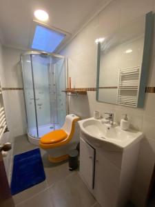纳塔列斯港Patagonia Tower的带淋浴、盥洗盆和卫生间的浴室