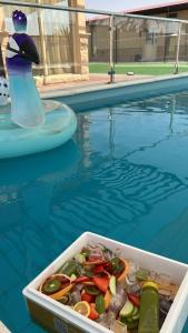 艾恩Marbella Resort的游泳池里的蔬菜容器,装有一瓶